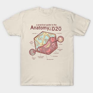 Anatomy of the D20 T-Shirt